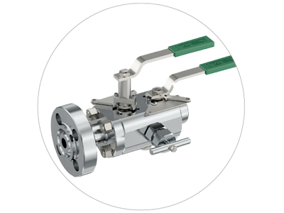 DOUBLE BLOCK & BLEED VALVES
